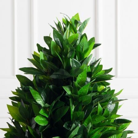 090/ДК/ШТ/188(Пр)(F) Лавр искусственный конус h90см (латекс)