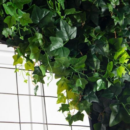 ФТМ203/1(з)(F) Фитомодуль 136х240см (проем 88х210см)