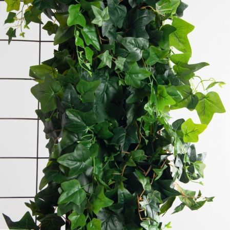 ФТМ203/1(з)(F) Фитомодуль 136х240см (проем 88х210см)