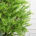 162/ШТ/202(з)(F) Розмарин штамбовый искусственный h162см