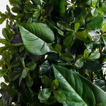 ФТМ210(з)(F) Фитомодуль на сетке  40х100см (S=0.4м2)