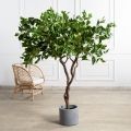150/ВИТ/497(Пр)(F) Фикус искусственный h150см