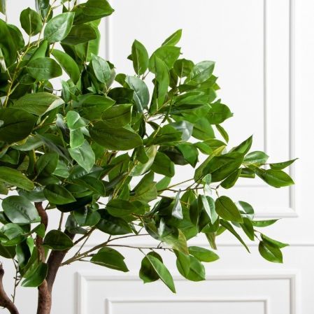 150/ВИТ/497(Пр)(F) Фикус искусственный h150см 150/ВИТ/497(Пр)(F) Фикус искусственный h150см