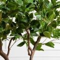 150/ВИТ/497(Пр)(F) Фикус искусственный h150см
