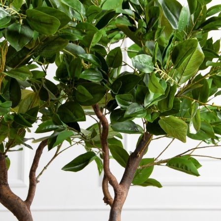 150/ВИТ/497(Пр)(F) Фикус искусственный h150см 150/ВИТ/497(Пр)(F) Фикус искусственный h150см