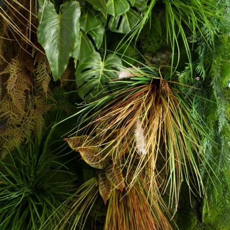 ФТС211(Пр)(F) Фитостена,  за 1кв.м