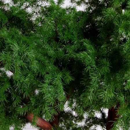 220/ВИТ/АСС/310(Пр)(F) Лиственница искусственная  h220см