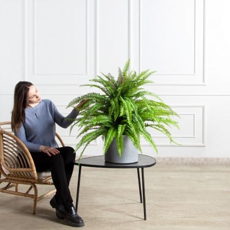 070/К/414(Пр)(F) Папоротник Экзальтата искуственный h70см