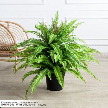 070/К/414(Пр)(F) Папоротник Экзальтата искуственный h70см