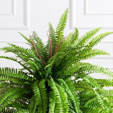070/К/414(Пр)(F) Папоротник Экзальтата искуственный h70см