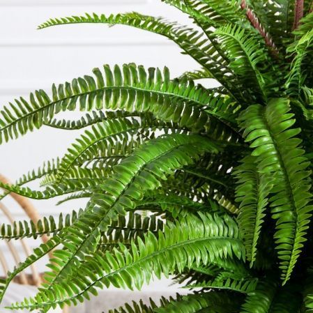 070/К/414(Пр)(F) Папоротник Экзальтата искуственный h70см