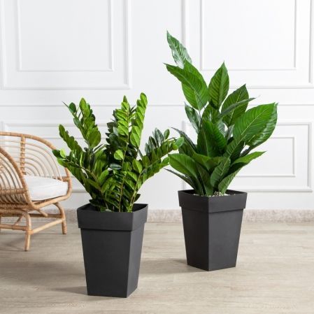 070/К/495-1, К270/4-1(Sale)(F) Композиц. из 2х изд. (замиокулькас и спатифиллум) в интерьер. кашпо