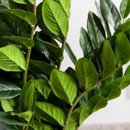 070/К/495-1, К270/4-1(Sale)(F) Композиц. из 2х изд. (замиокулькас и спатифиллум) в интерьер. кашпо