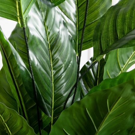 070/К/495-1, К270/4-1(Sale)(F) Композиц. из 2х изд. (замиокулькас и спатифиллум) в интерьер. кашпо