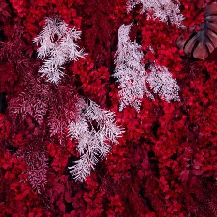 ФТС186(Пр)(F) Фитостена, за 1кв.м ФТС186(Пр)(F) Фитостена, за 1кв.м