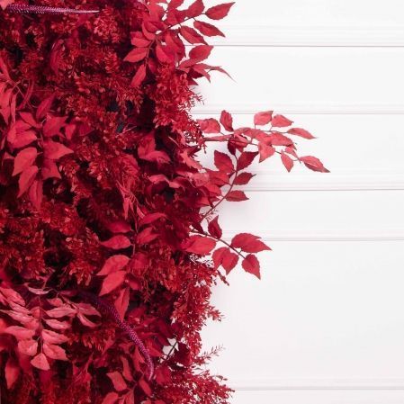 ФТС202(Пр)(F) Фитостена,  за 1кв.м