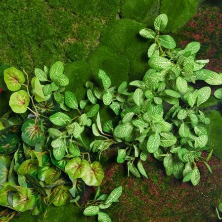 ФТС172(Пр)(F) Фитостена,  за 1кв.м