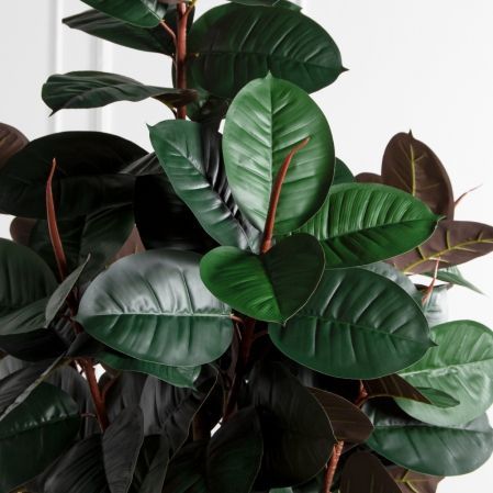 250/УК/РН/186(Пр)(F) Фикус Эластика Робуста искусственный h250см,латекс 250/УК/РН/186(Пр)(F) Фикус Эластика Робуста искусственный h250см,латекс