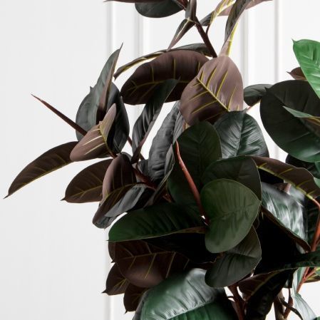 250/УК/РН/186(Пр)(F) Фикус Эластика Робуста искусственный h250см,латекс 250/УК/РН/186(Пр)(F) Фикус Эластика Робуста искусственный h250см,латекс