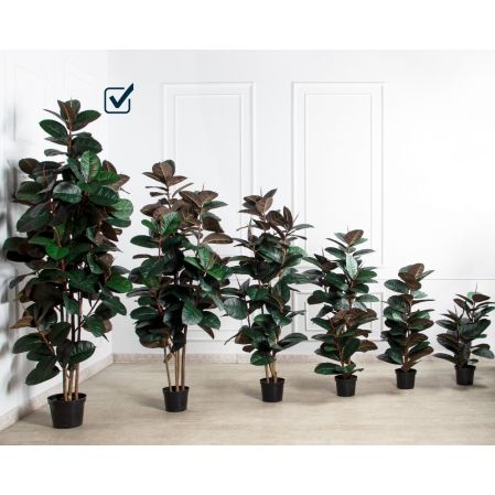 250/УК/РН/186(Пр)(F) Фикус Эластика Робуста искусственный h250см,латекс 250/УК/РН/186(Пр)(F) Фикус Эластика Робуста искусственный h250см,латекс