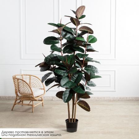 210/УК/РН/186(Пр)(F) Фикус Эластика Робуста искусственный h210см,латекс 210/УК/РН/186(Пр)(F) Фикус Эластика Робуста искусственный h210см,латекс