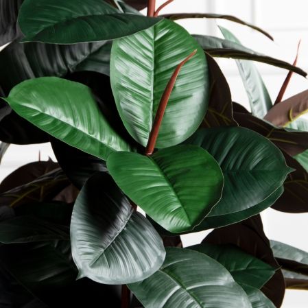 210/УК/РН/186(Пр)(F) Фикус Эластика Робуста искусственный h210см,латекс 210/УК/РН/186(Пр)(F) Фикус Эластика Робуста искусственный h210см,латекс