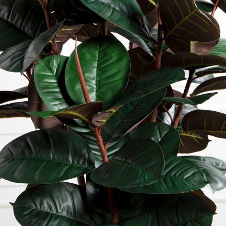 210/УК/РН/186(Пр)(F) Фикус Эластика Робуста искусственный h210см,латекс 210/УК/РН/186(Пр)(F) Фикус Эластика Робуста искусственный h210см,латекс