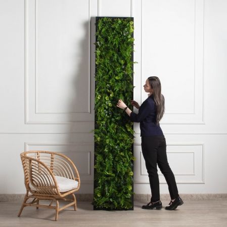 ФК96(Пр)(F) Фитокартина в черной раме 50х250см