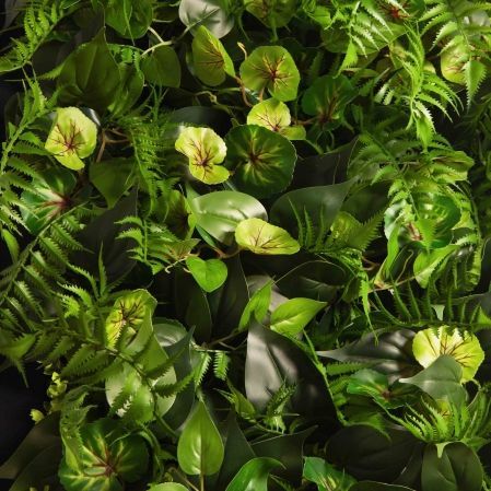 ФК96(Пр)(F) Фитокартина в черной раме 50х250см