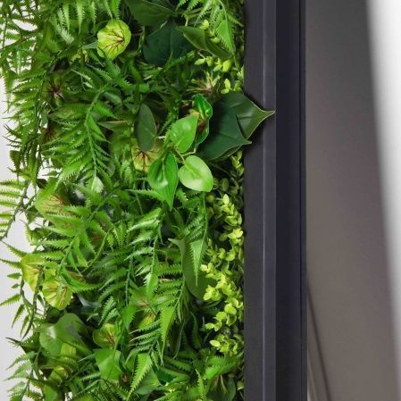 ФК96(Пр)(F) Фитокартина в черной раме 50х250см