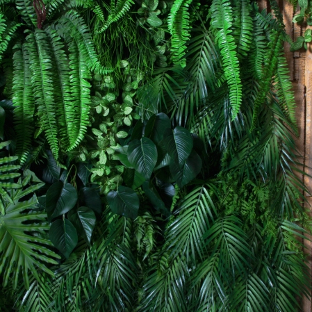 ФТС102-1(Пр)(F) Фитостена, за 1кв.м ФТС102-1(Пр)(F) Фитостена, за 1кв.м