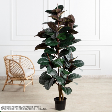 180/УК/РН/186(Пр)(F) Фикус Эластика Робуста искусственный h180см,латекс 180/УК/РН/186(Пр)(F) Фикус Эластика Робуста искусственный h180см,латекс