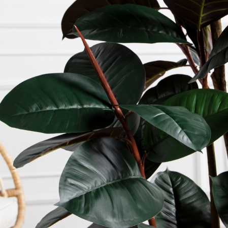 180/УК/РН/186(Пр)(F) Фикус Эластика Робуста искусственный h180см,латекс 180/УК/РН/186(Пр)(F) Фикус Эластика Робуста искусственный h180см,латекс