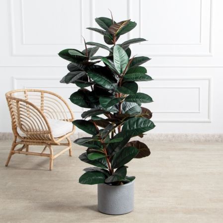 150/УК/РН/186(Пр)(F) Фикус Эластика Робуста искусственный h150см,латекс