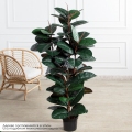 150/УК/РН/186(Пр)(F) Фикус Эластика Робуста искусственный h150см,латекс 150/УК/РН/186(Пр)(F) Фикус Эластика Робуста искусственный h150см,латекс