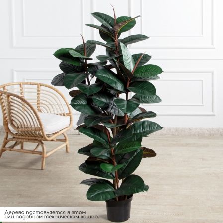 150/УК/РН/186(Пр)(F) Фикус Эластика Робуста искусственный h150см,латекс