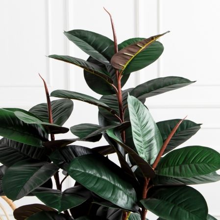 150/УК/РН/186(Пр)(F) Фикус Эластика Робуста искусственный h150см,латекс