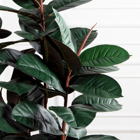 150/УК/РН/186(Пр)(F) Фикус Эластика Робуста искусственный h150см,латекс