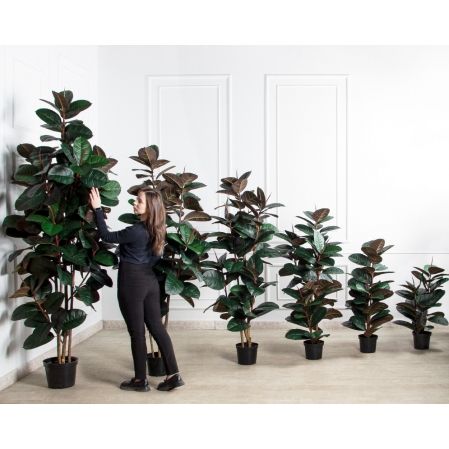 150/УК/РН/186(Пр)(F) Фикус Эластика Робуста искусственный h150см,латекс