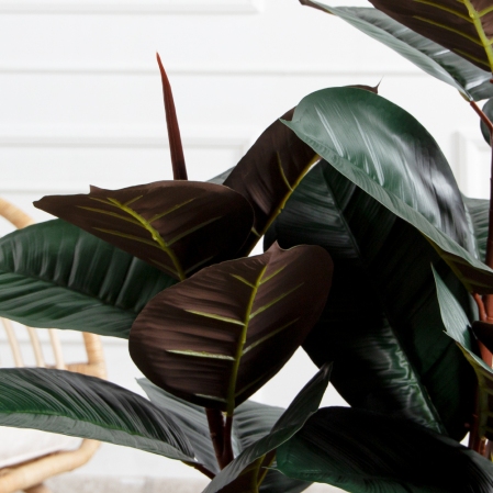 120/УК/РН/186(Пр)(F) Фикус Эластика Робуста искусственный h120см,латекс