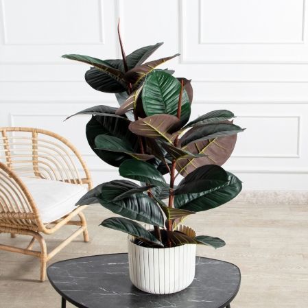 090/УК/РН/186(Пр)(F) Фикус Эластика Робуста искусственный h90см,латекс 090/УК/РН/186(Пр)(F) Фикус Эластика Робуста искусственный h90см,латекс