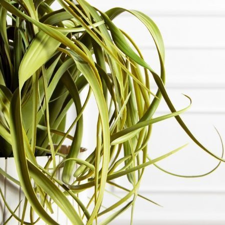 К571(з)(F) Композиция искусственная с тилландсией в кашпо К571(з)(F) Композиция искусственная с тилландсией в кашпо