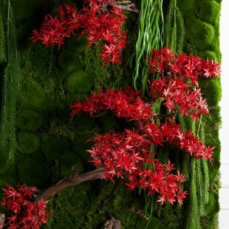 ФТС213(Пр)(F) Фитостена с японским кленом, за 1кв.м