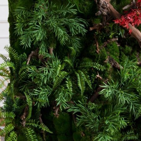 ФТС213(Пр)(F) Фитостена с японским кленом, за 1кв.м