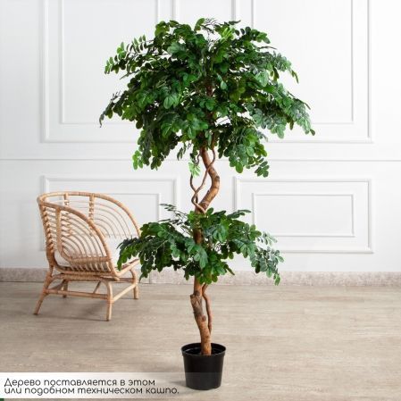 180/2К/ВИТ/702(Пр)(F) Софора японская искуственная h180см,(латекс)