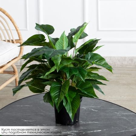 ЦС95-3(з)(F) Сциндапсус искусственный куст в кашпо d15см, латекс