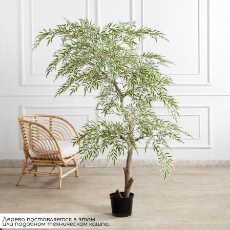 170/РН/АСС/701(Пр)(F) Магония искусственная h170см,зелено-белая,(латекс)