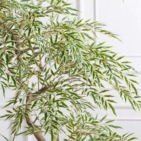 170/РН/АСС/701(Пр)(F) Магония искусственная h170см,зелено-белая,(латекс)