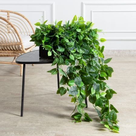 ТД072-5/5(з)(F) Сциндапсус искусственный ампельный в кокосовом боксе 40х20х10см (УТ)