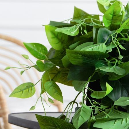 ТД072-5/5(з)(F) Сциндапсус искусственный ампельный в кокосовом боксе 40х20х10см (УТ) ТД072-5/5(з)(F) Сциндапсус искусственный ампельный в кокосовом боксе 40х20х10см (УТ)